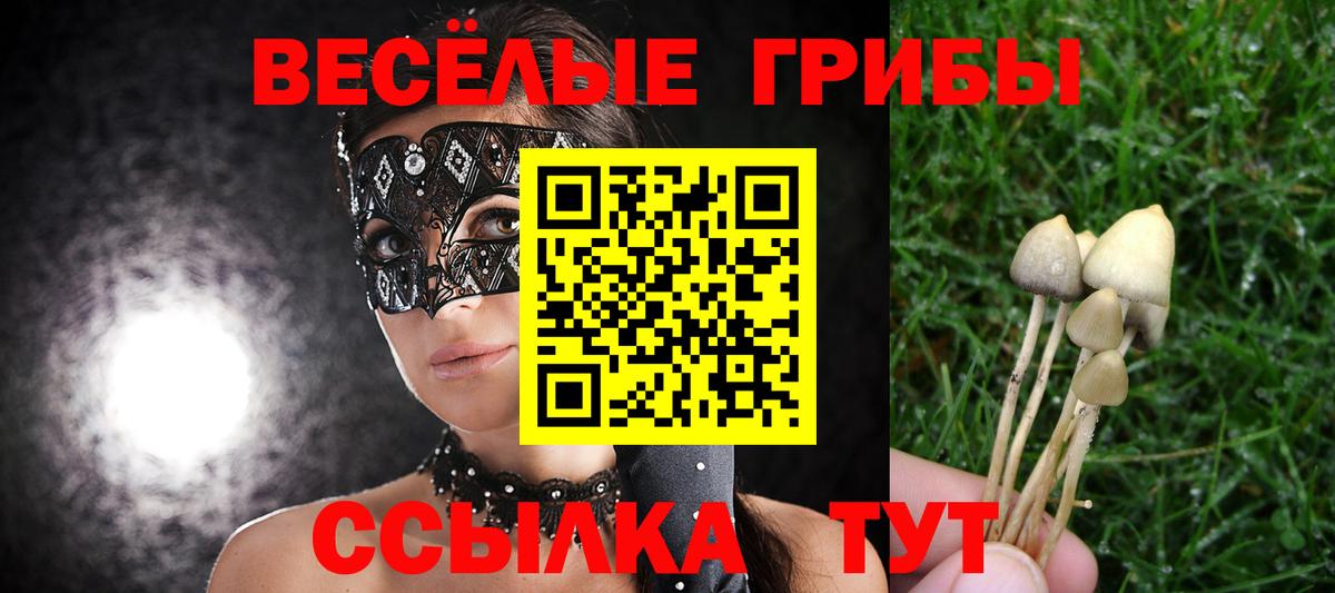Лесной  Псилоцибиновые грибы Magic Shrooms  Вход с VPN 